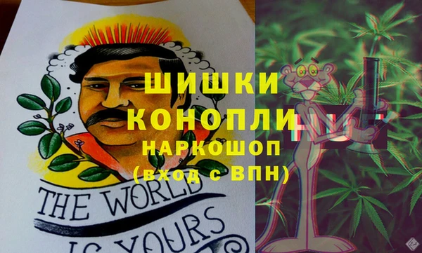 гашик Богданович