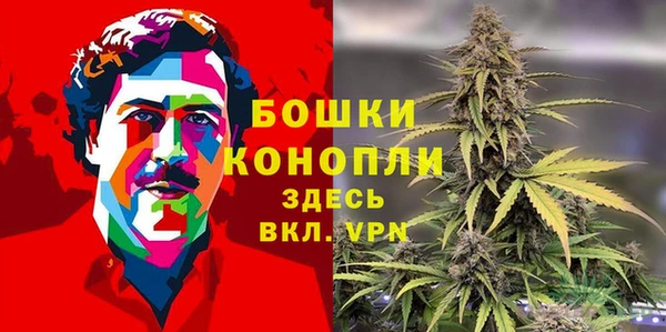 гашик Богданович