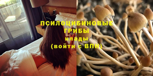 эйфоретик Богородицк