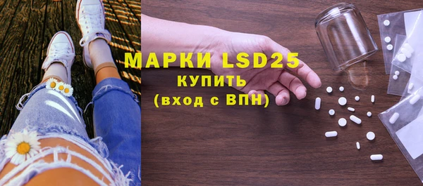 гашик Богданович