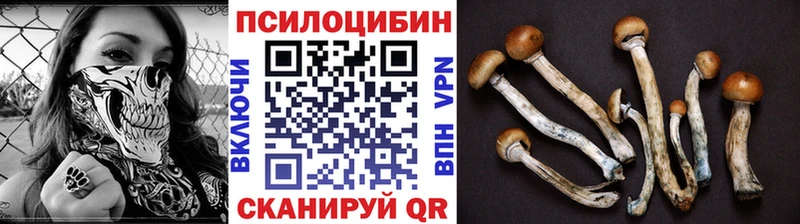 Псилоцибиновые грибы Cubensis  Бутурлиновка 