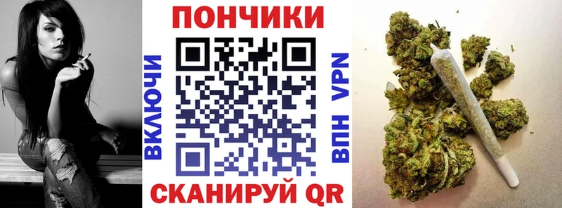 магазин  наркотиков  Бутурлиновка  Конопля SATIVA & INDICA 